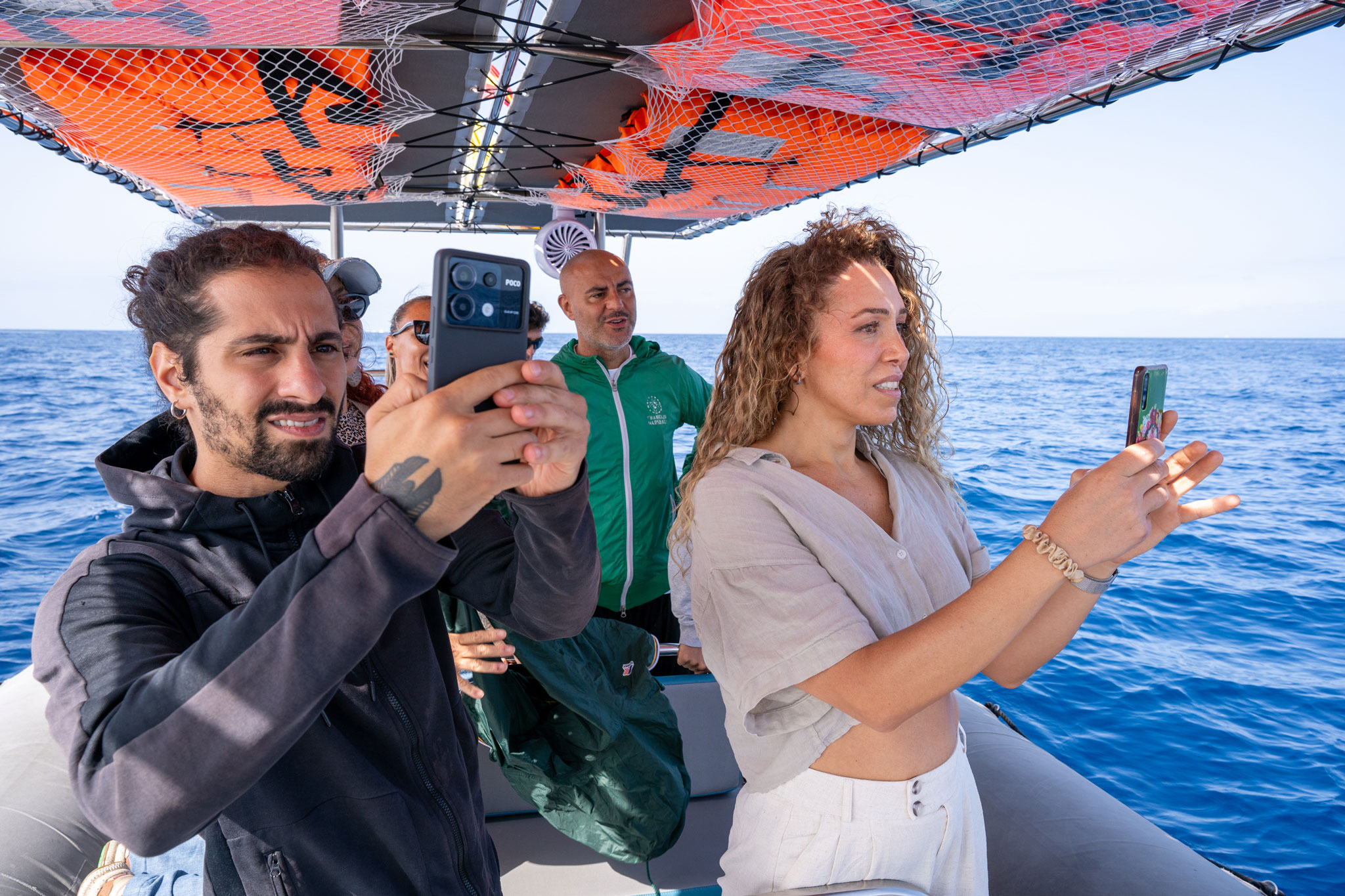 Tenerife whale watching near Costa Adeje with small-boat wildlife viewing