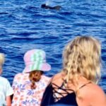 Whale Watching Tenerife