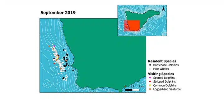 Species Mapping Project