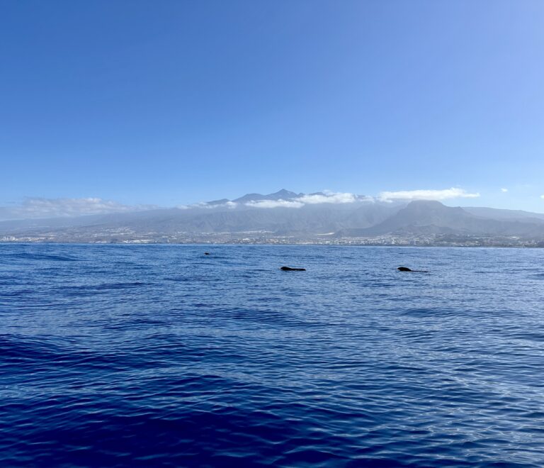 Tenerife