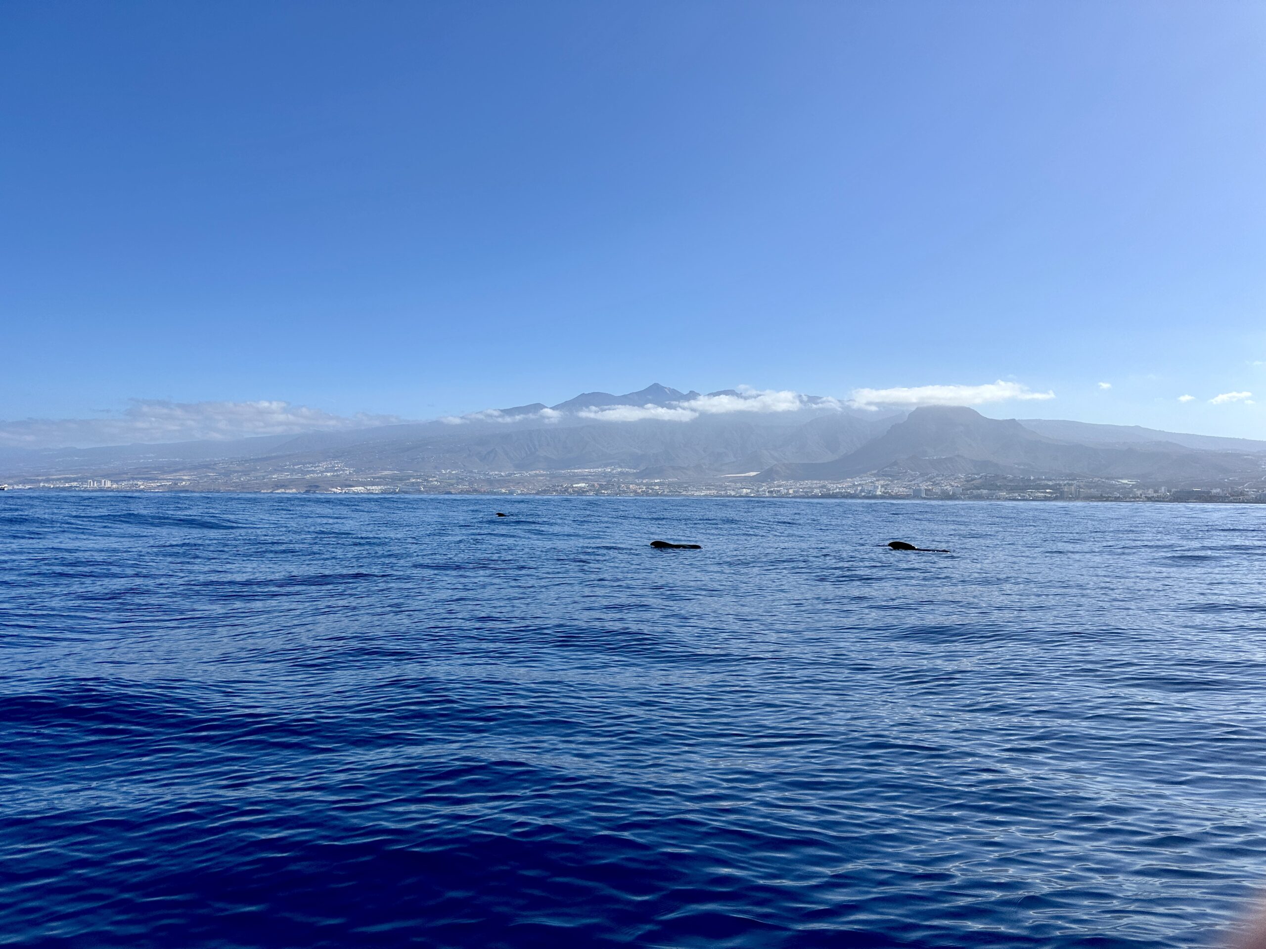 Tenerife