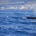 Tenerife
