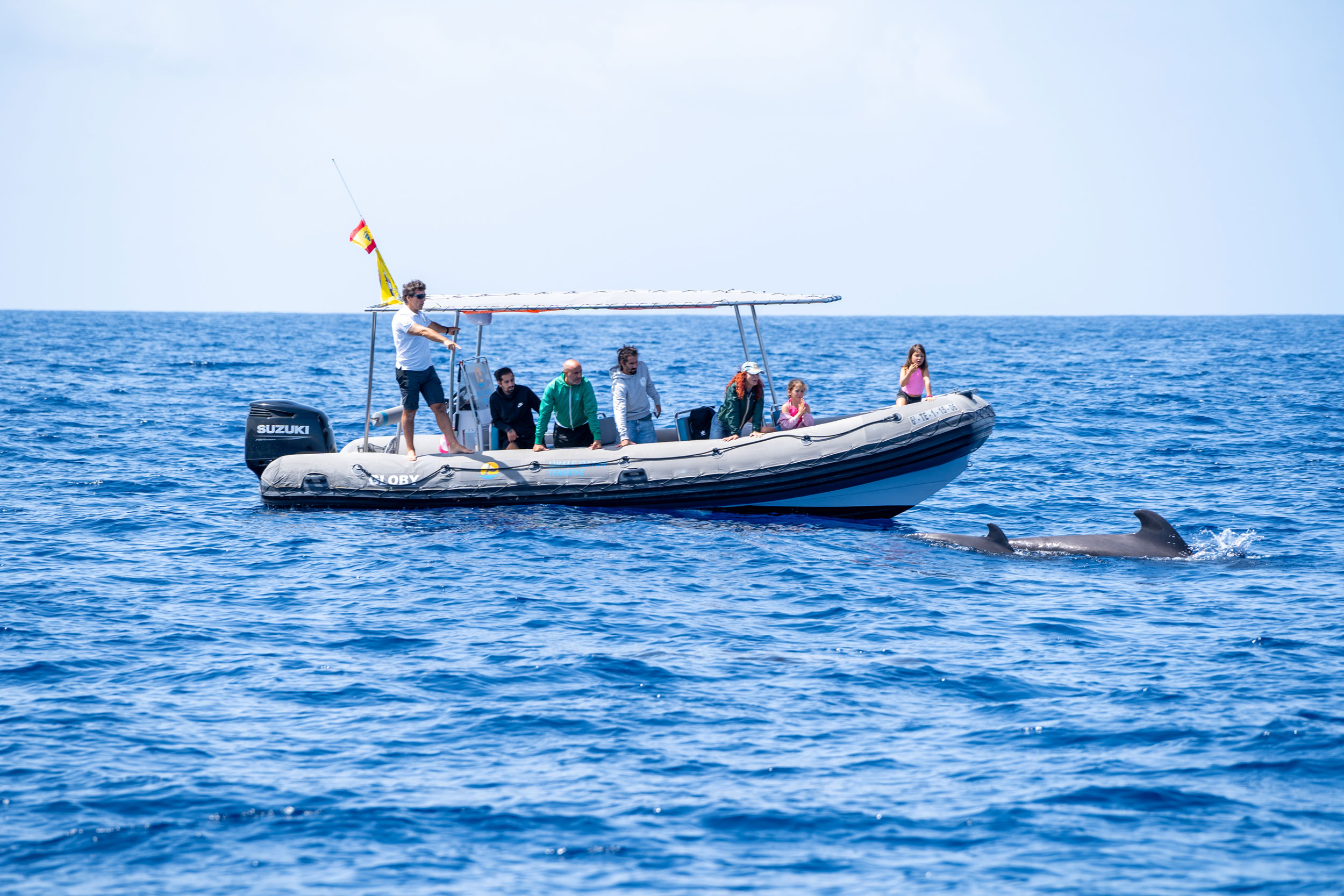 WWT Boat