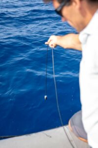 Hydrophone
