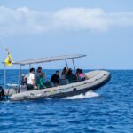 Grupo de delfines junto al barco en Costa Adeje