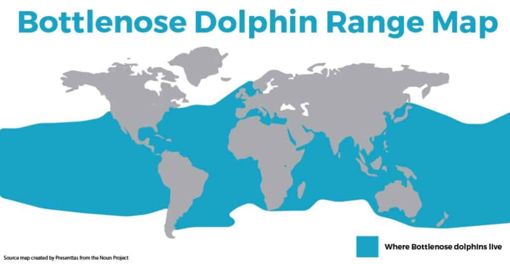 Mapa delfín mular