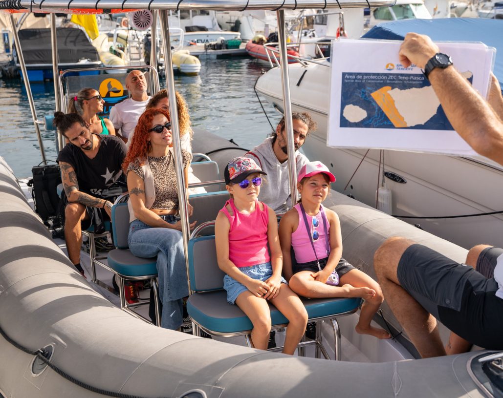 enerife whale and dolphin watching group tour