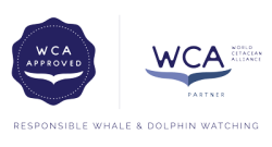 WCA Approved Partner